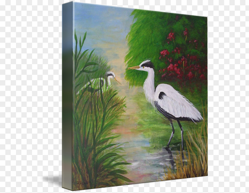 Stork Heron Crane Painting Marsh PNG
