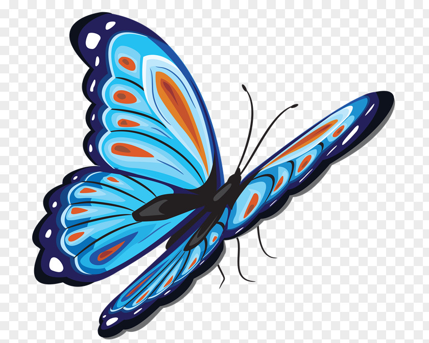 Butterfly Clip Art PNG