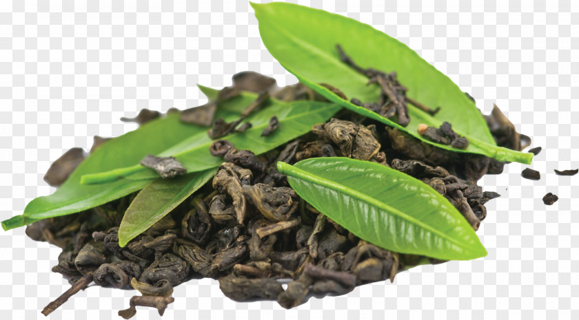 Coffee Bean Green Tea Black PNG