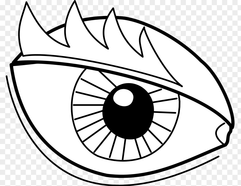 Free Vector Eye Human Eyelid Pupil Clip Art PNG