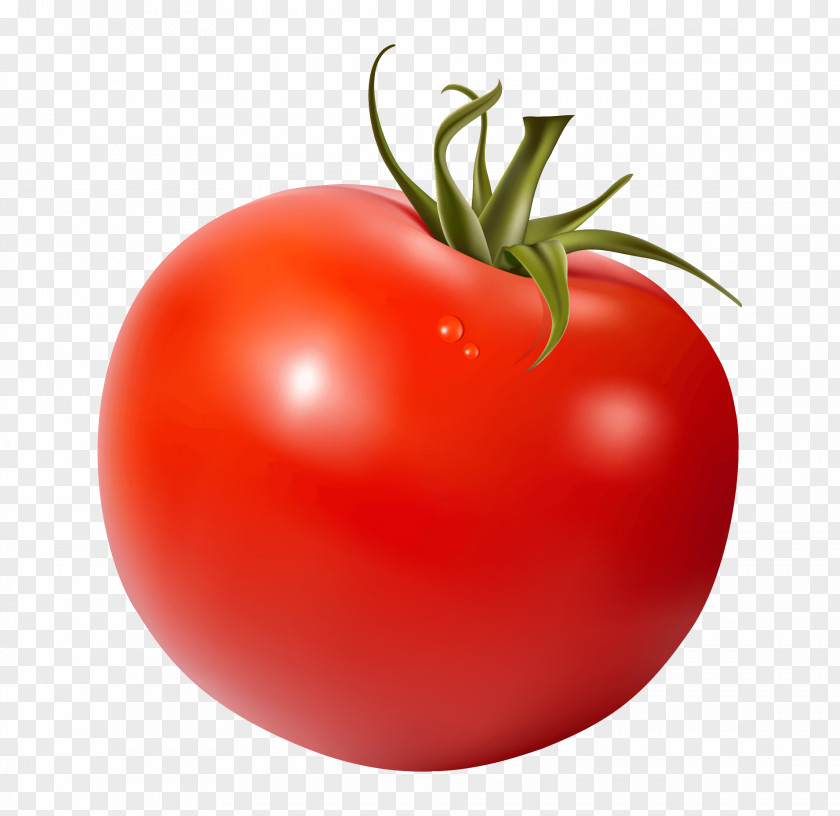 Vegetable Fruit Tomato Juice Food PNG