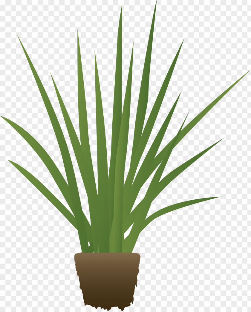 Agave Azul Arecaceae Nectar Emoji Plant Stem PNG