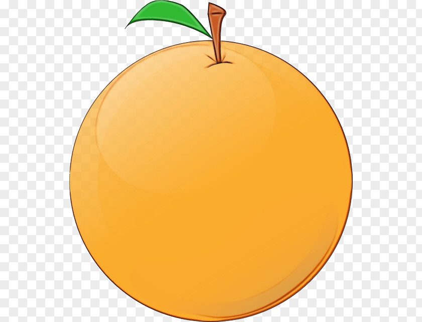 Apple Grapefruit Orange PNG