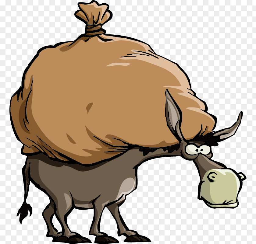 Donkey Mule Cartoon PNG