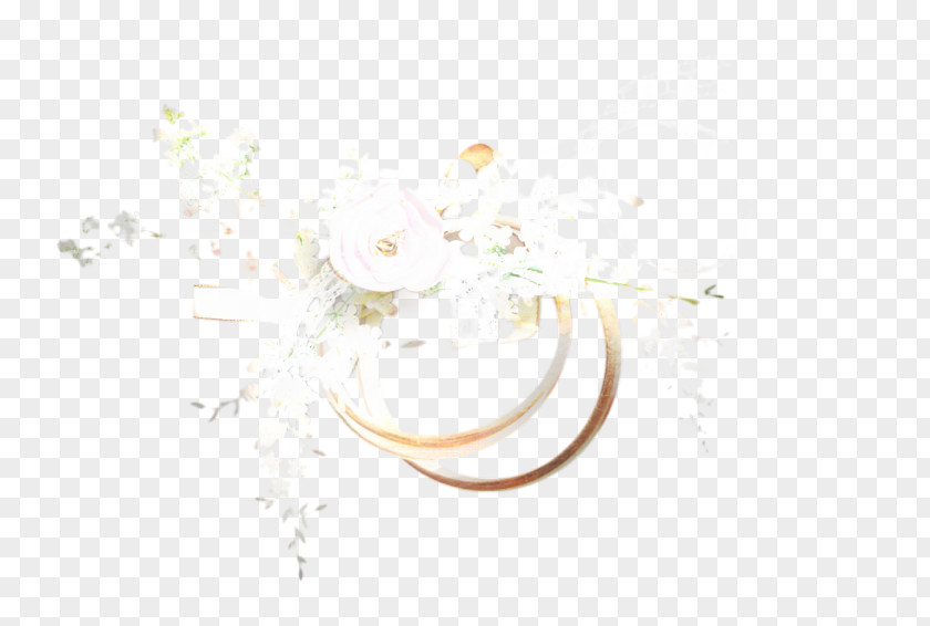 Jewellery Computer Body PNG