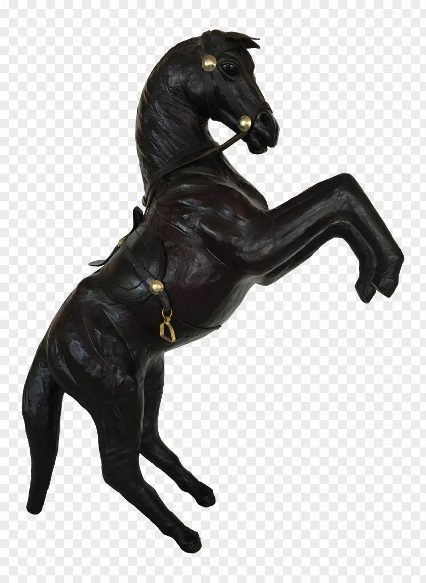 Mustang Stallion Pony Horse Tack Freikörperkultur PNG