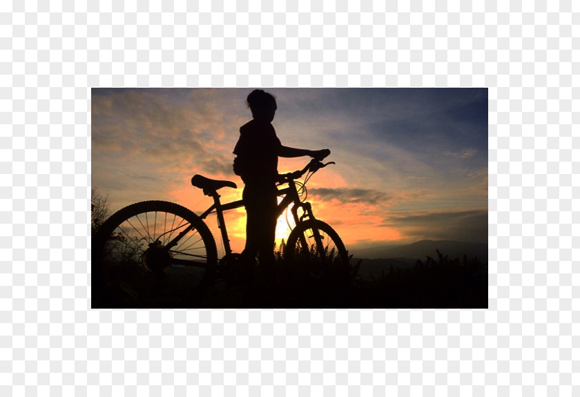 Opposite Of Transparent Road Bicycle Graphic Design Cropping Cycling PNG