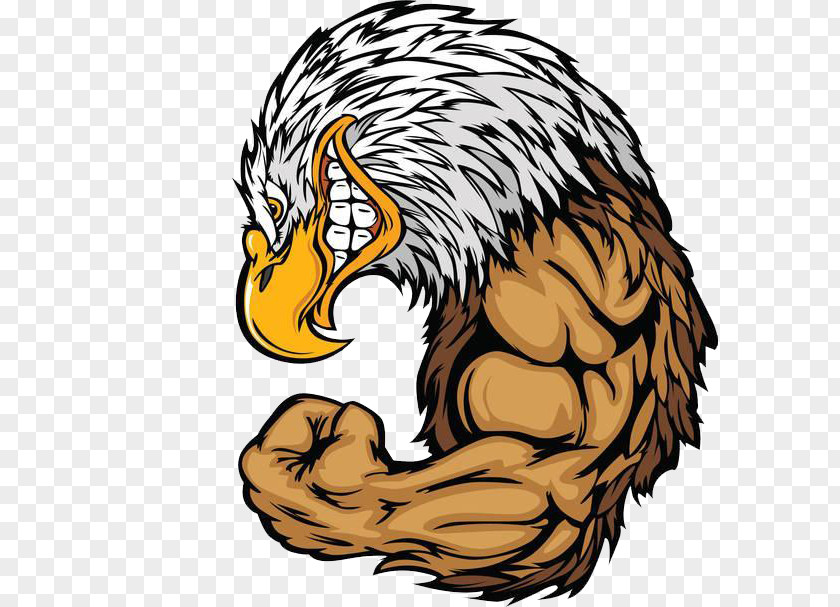 The Eagle Muscle Bald Clip Art PNG