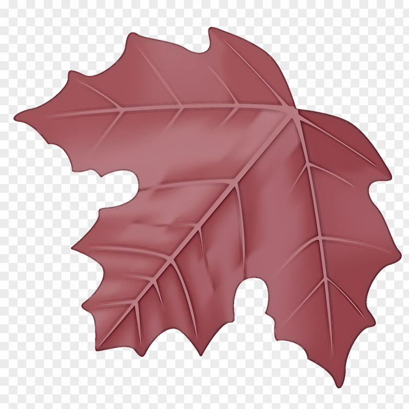Maple Leaf Autumn Fall PNG