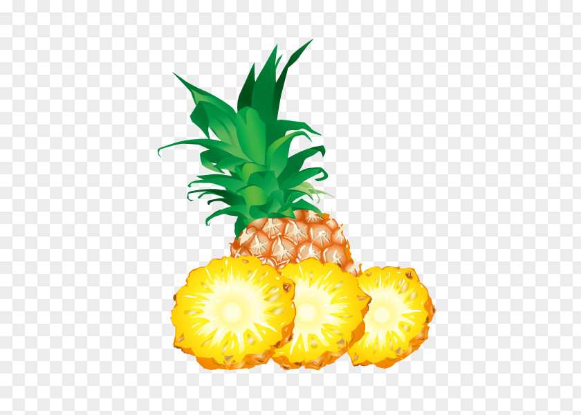 Pineapple Fruit Clip Art PNG