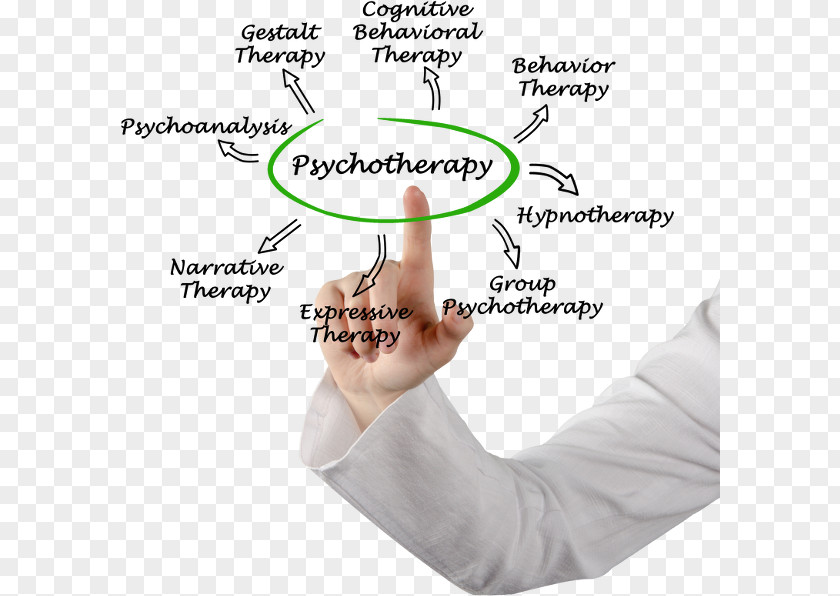 Psychotherapist Psychology Cognitive Behavioral Therapy Psychoanalysis PNG