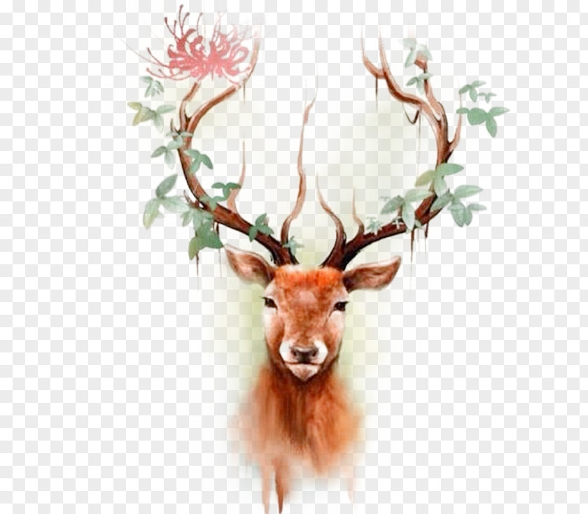 Color Reindeer Head Deer Elk Moose Tattoo Paper PNG