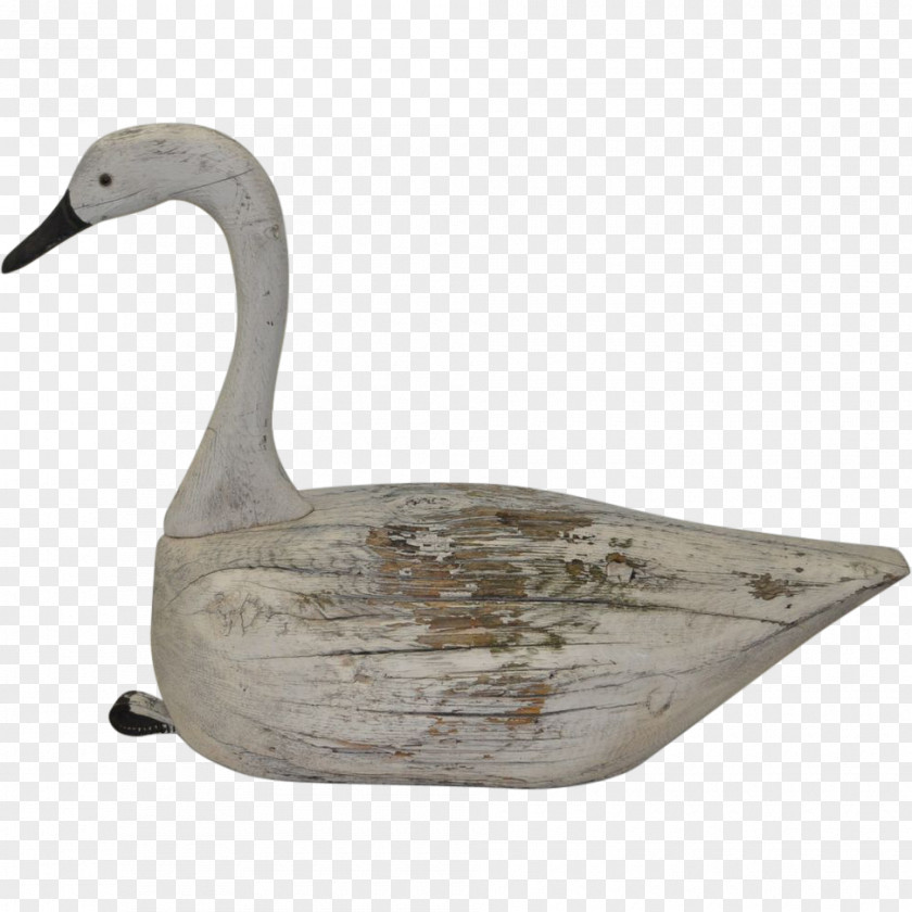 Duck Decoy Goose Cygnini PNG