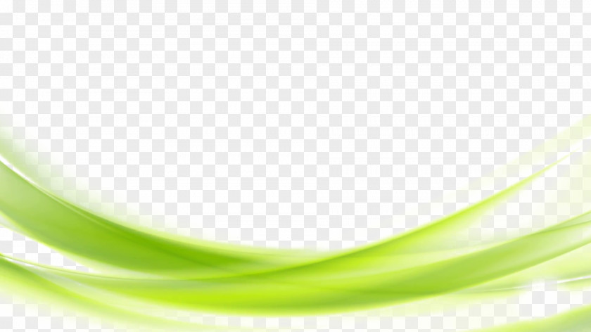 Green Background Transparent Wallpaper PNG