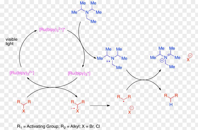 Photoredox Catalysis Chemistry Electron Transfer PNG
