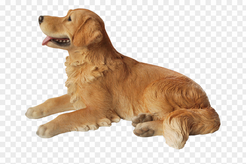 Retriever Golden Nova Scotia Duck Tolling Dog Breed Companion PNG