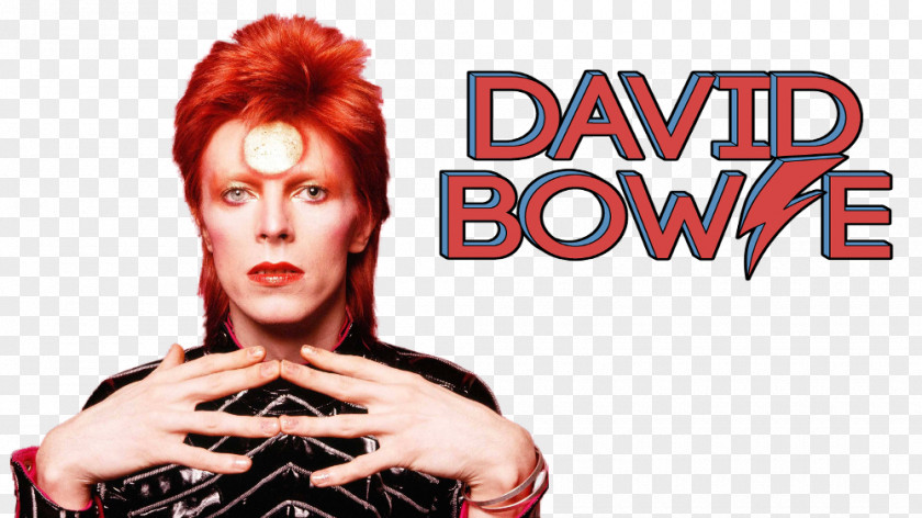 David Bowie Artist Musician PNG