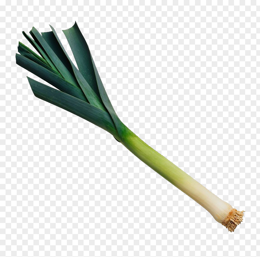 Garlic Leek Vegetable Food Cooking PNG