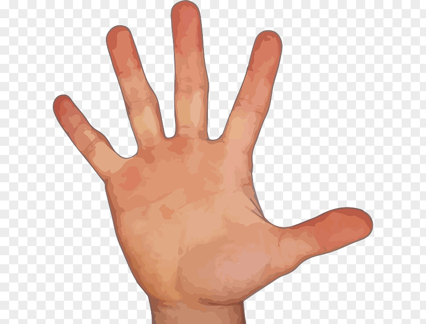 Hand With Five Fingers Finger Pixel PNG