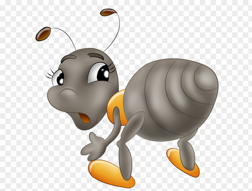 Insect Ant Bee Drawing PNG
