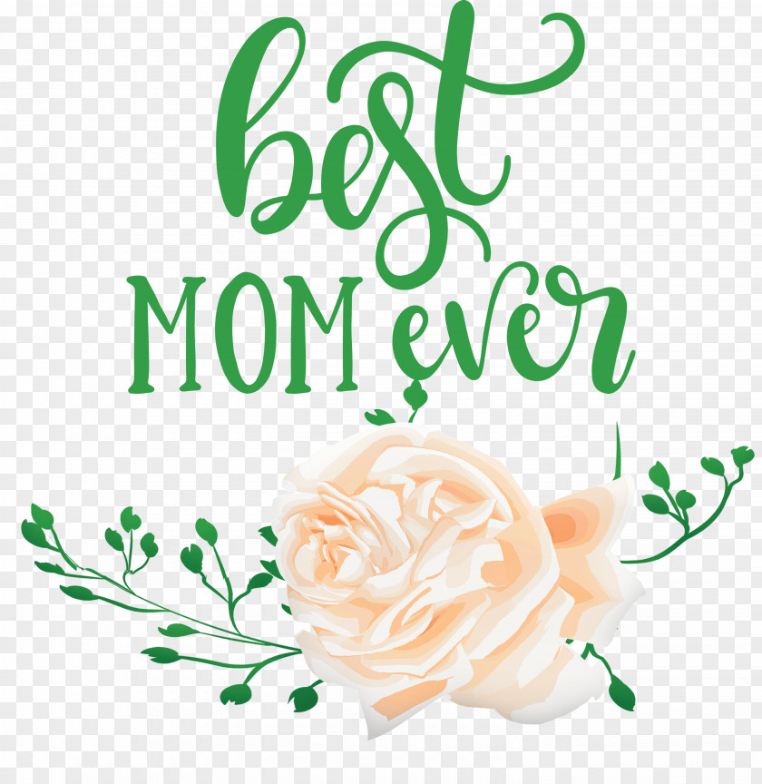 Mothers Day Best Mom Ever Quote PNG