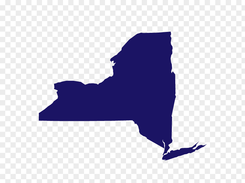 New York City Organization State AFL-CIO Capital District Area Labor Federation PNG