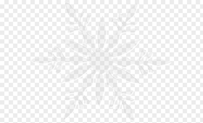 Snowflake Image Symmetry Line Angle Black And White Pattern PNG