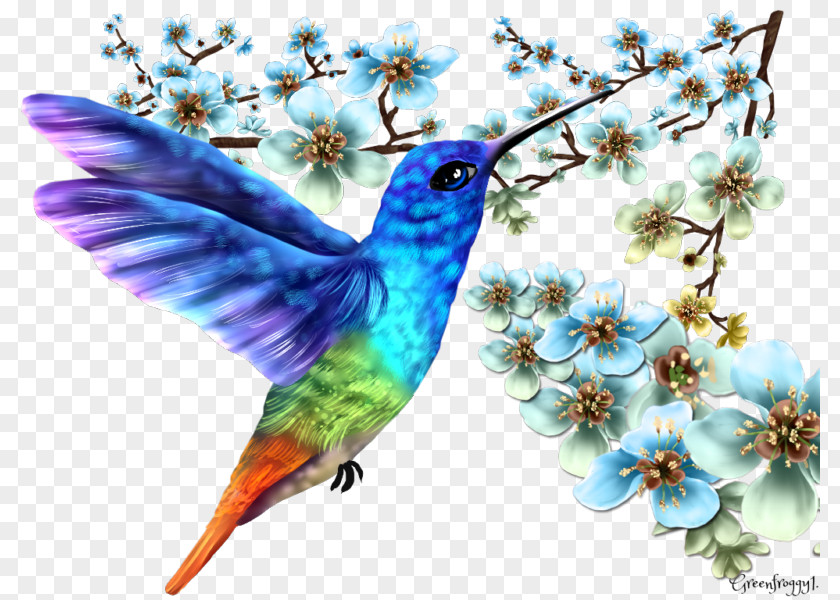 Stepmother Contact Page Art Hummingbird M PNG