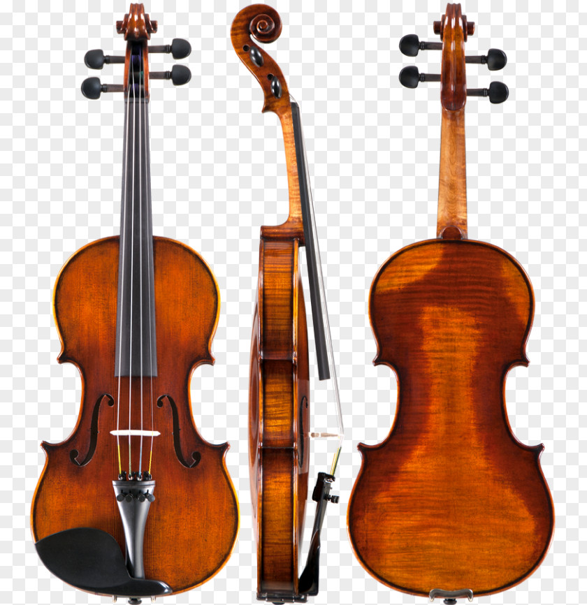 Violin Amati String Instruments Viola PNG