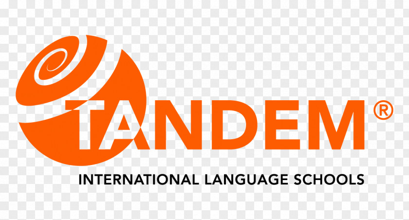 Asn International School Brand Logo Font PNG