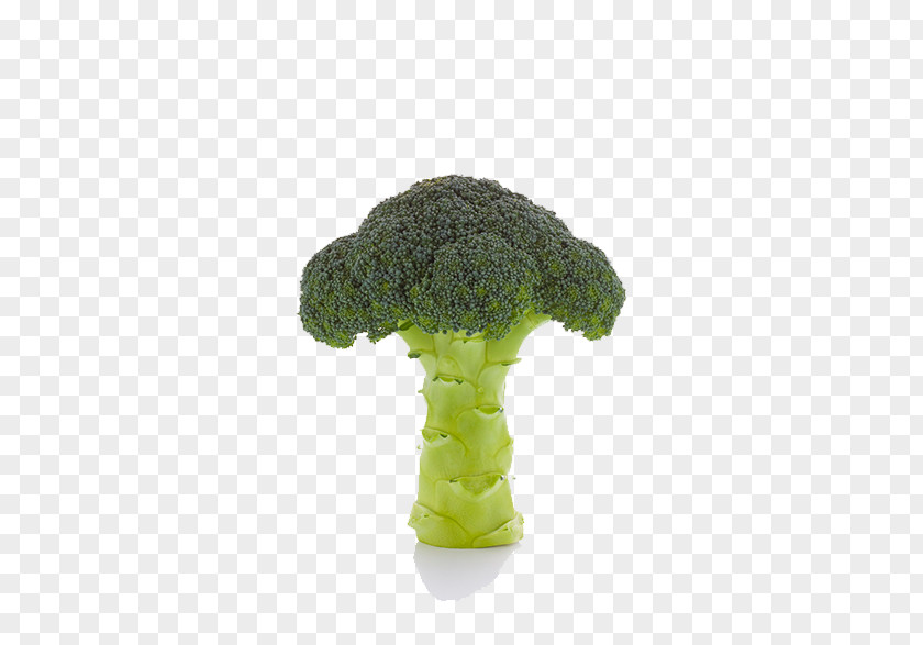 Cauliflower Vegetable Broccoli PNG
