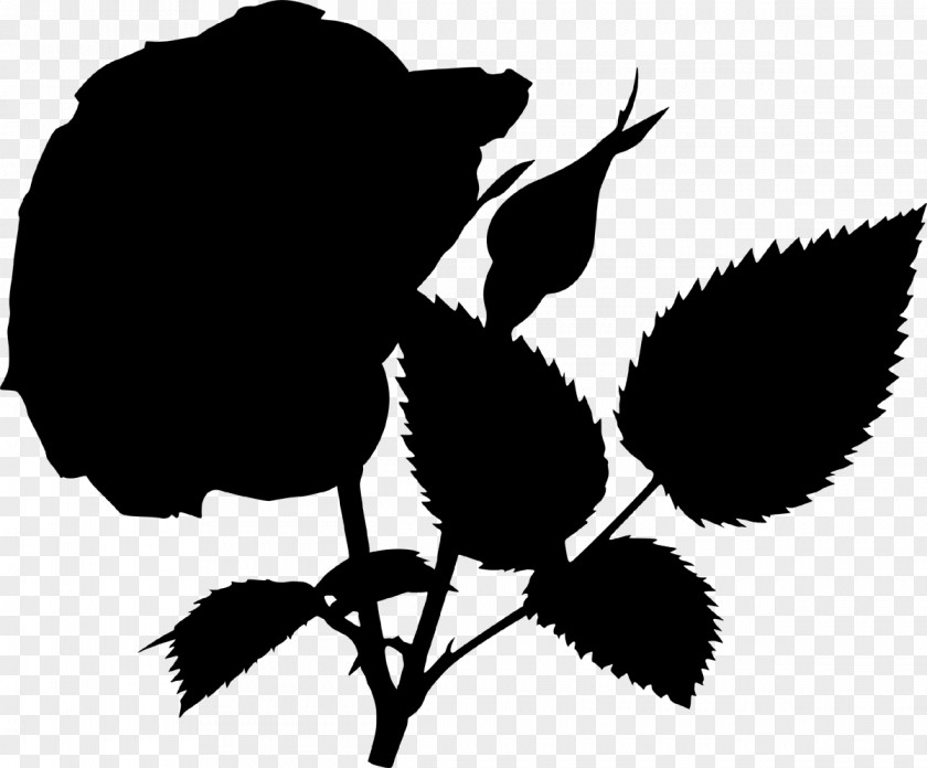 Essential Oil Extract Rose PNG