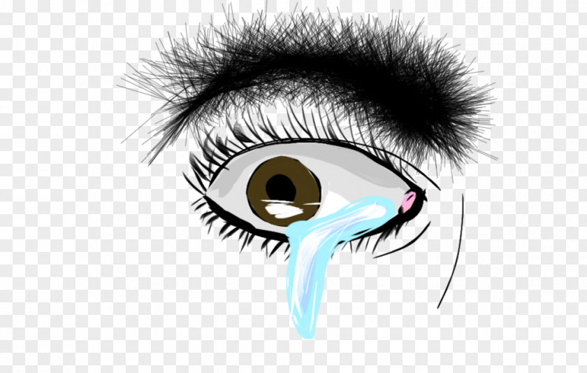 Eye Tears Eyelash Extensions Eyebrow Face PNG