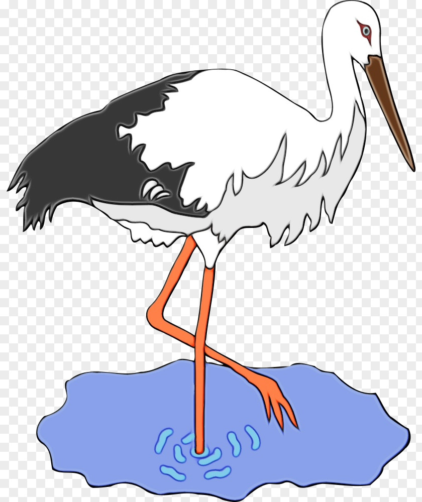 Little Blue Heron Wildlife Bird Stork Beak White Crane-like PNG