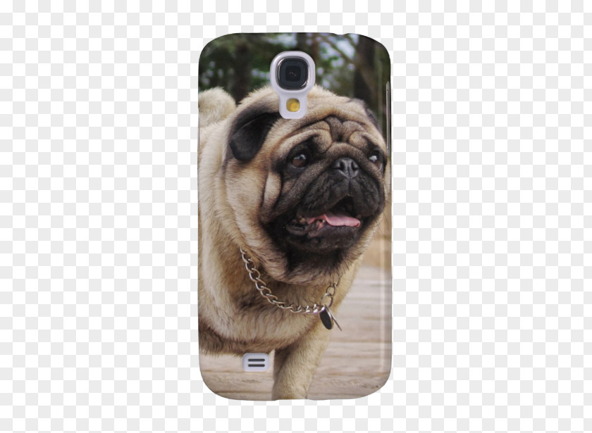 Pug Samsung Galaxy S5 Dog Breed IPhone 5s Nexus 5 PNG