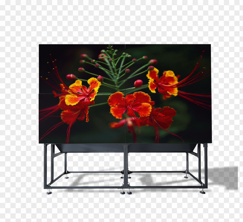 Video Wall Barco Rear-projection Television Digital Light Processing Multimedia Projectors PNG
