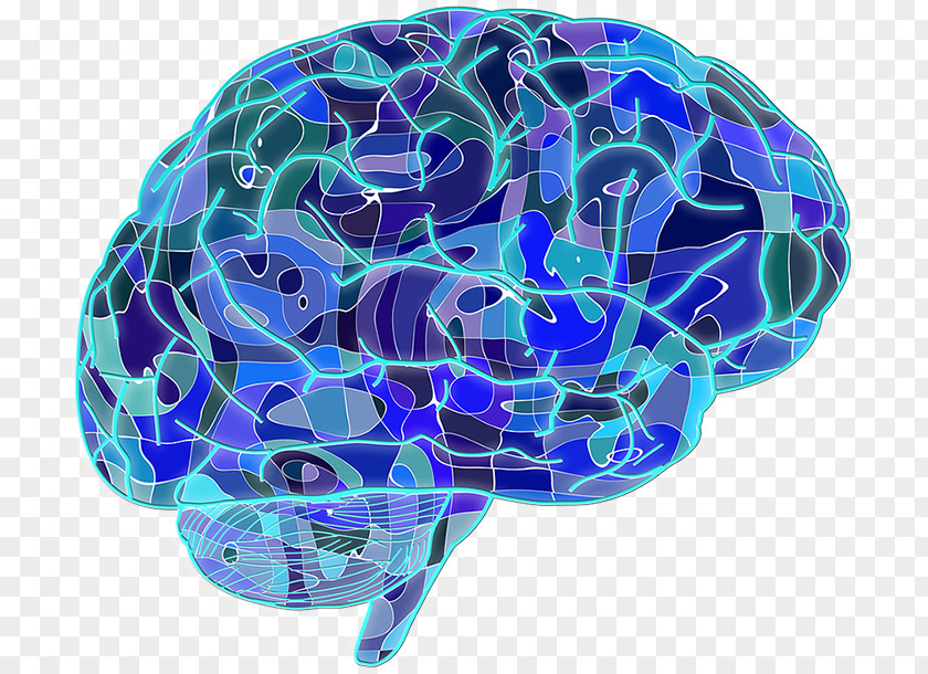 Wendeltreppe Blue Brain Project Neuron Human Neuroscience PNG