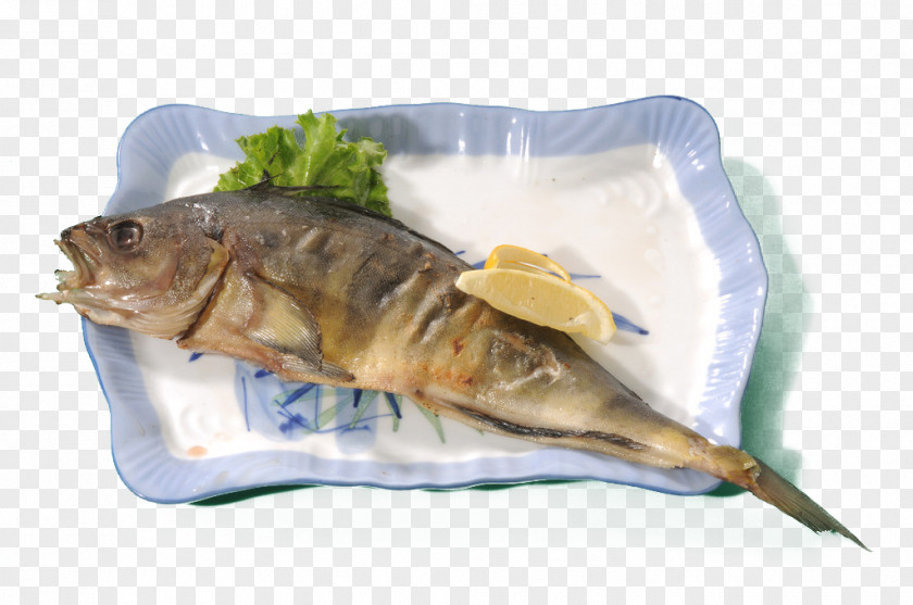 A Fish Sushi Japanese Cuisine Mackerel PNG