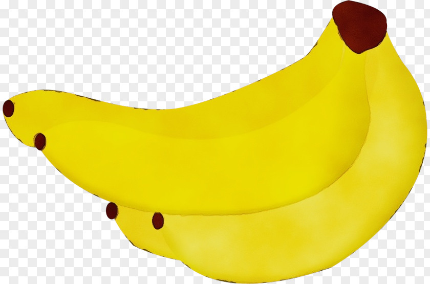 Bath Toy Fruit Banana Yellow Family Plant PNG