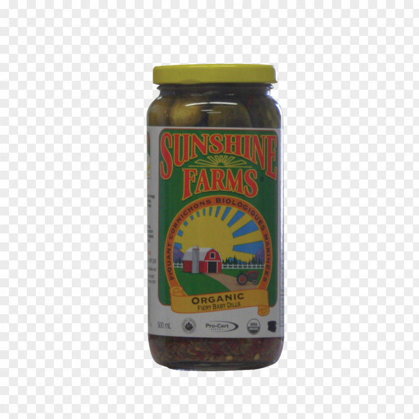 Dill Chutney Condiment Relish Sauce Ingredient PNG