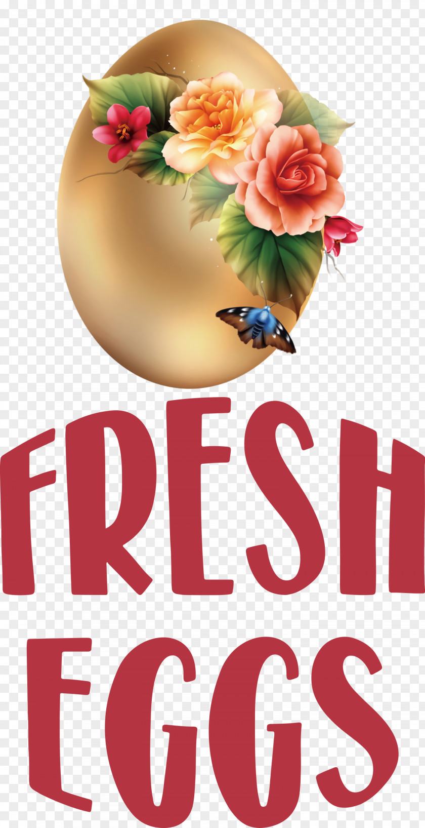 Fresh Eggs PNG