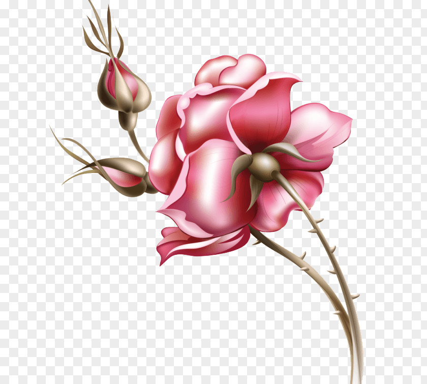 Hand Drawn Rose Design Material PNG drawn rose design material clipart PNG