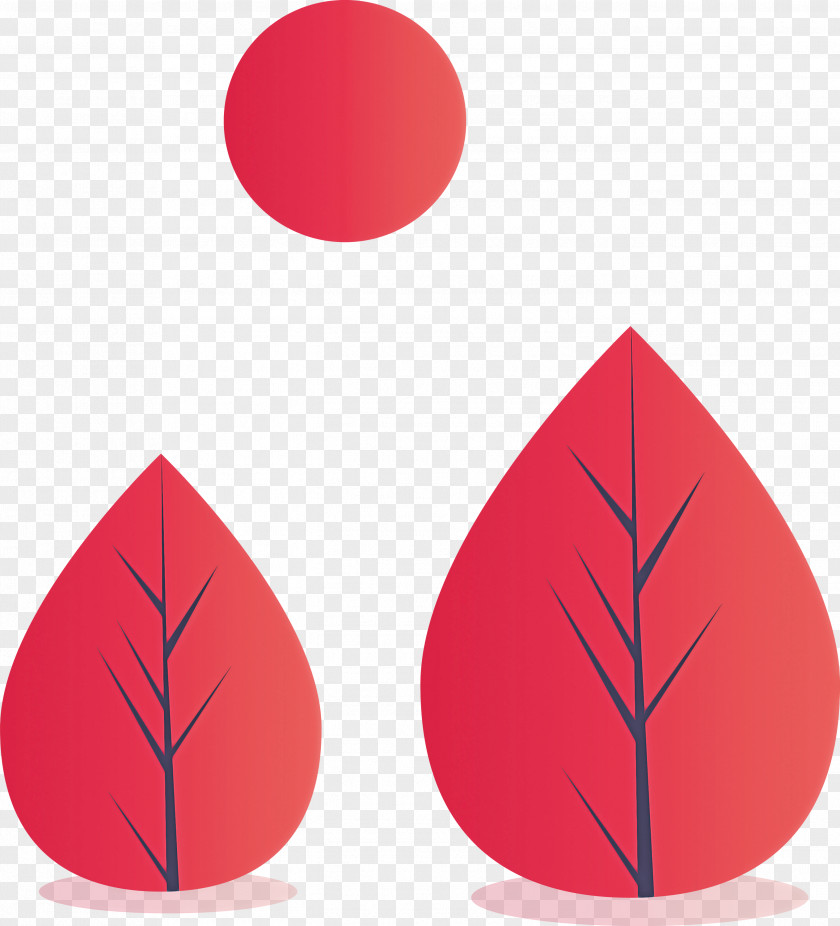 Leaf Red Tree Plant Coquelicot PNG