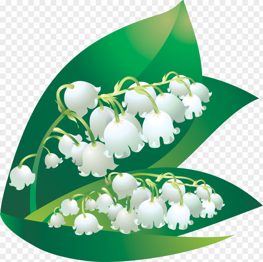 Lily Of The Valley Digital Data Flower Numerical Digit PNG