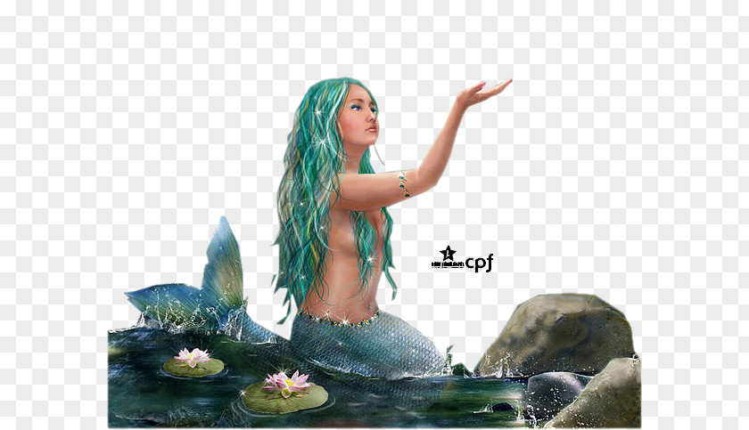 Mermaid Ariel Fairy PNG
