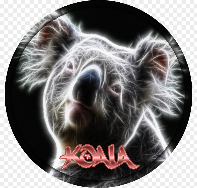 Ncs Logo Snout Marsupial PNG