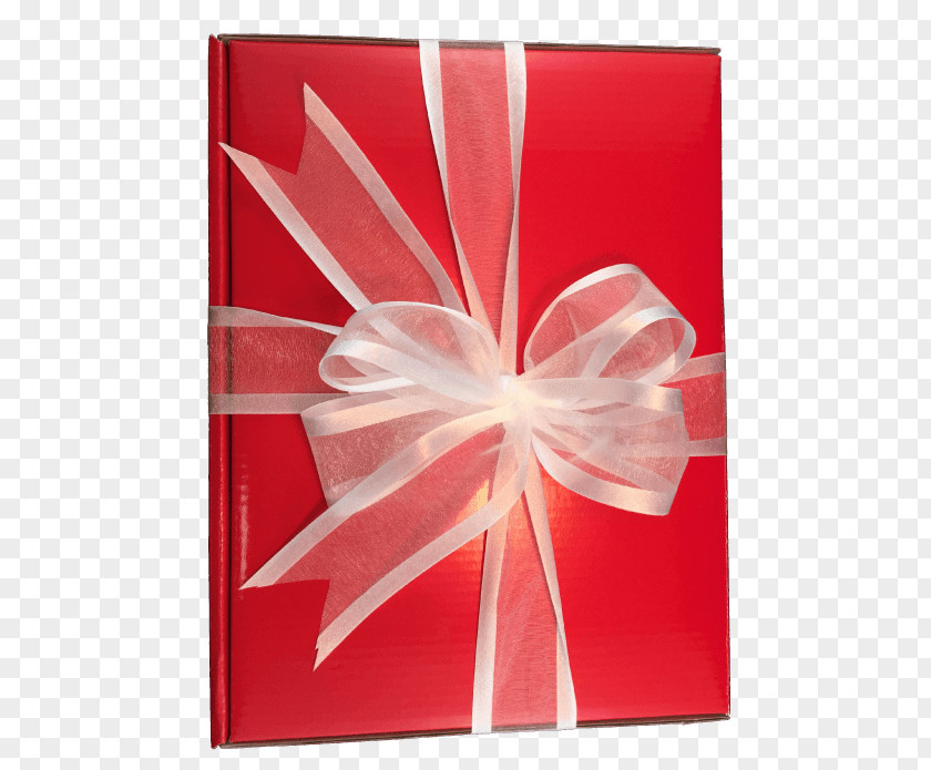 Red Bounding Box Christmas Gift Tree Boxing Day PNG