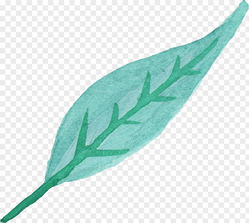 Watercolor Leaves Leaf Painting PNG
