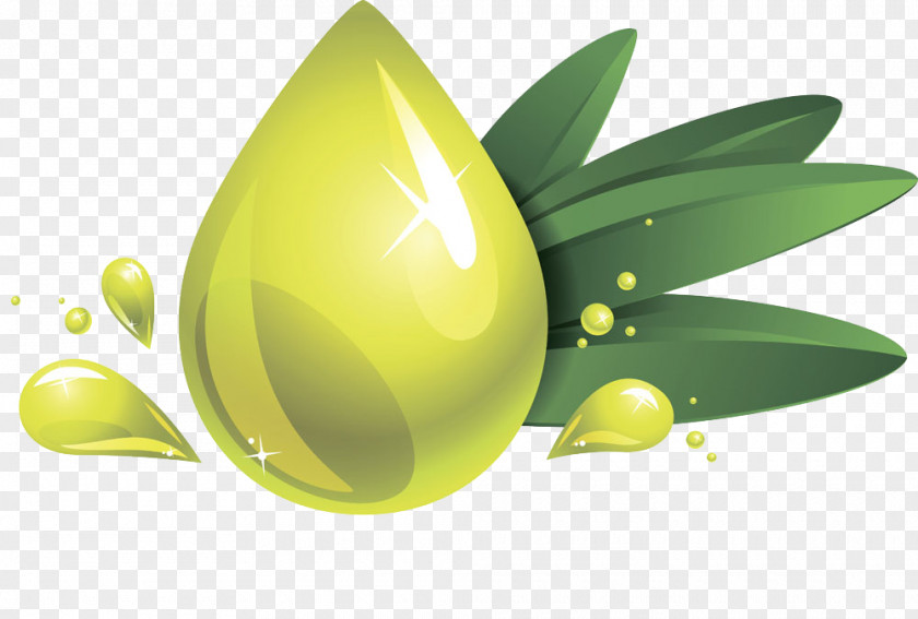 Olive Posters Oil Clip Art PNG