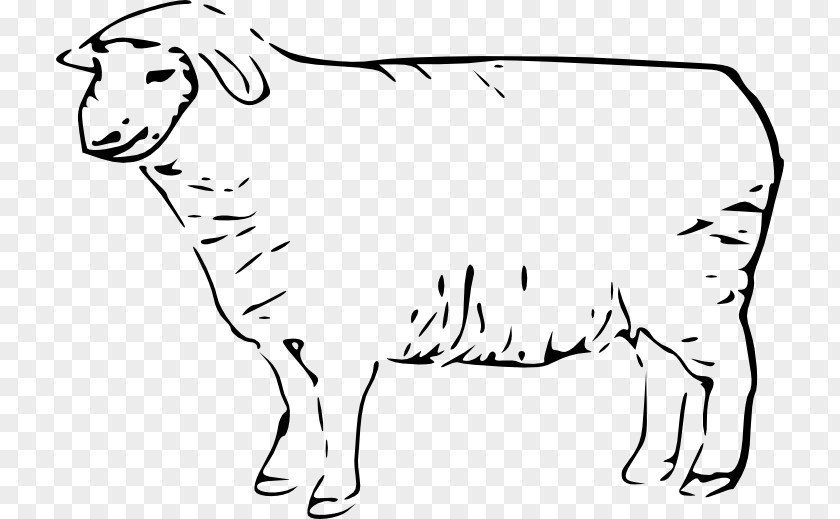 Sheep Line Art Clip PNG